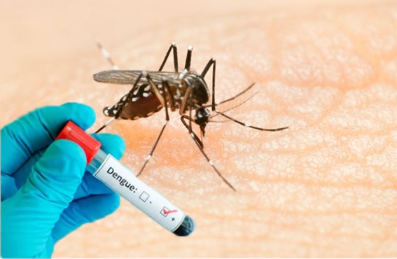 Alta demanda de testes rápidos de dengue nos laboratórios